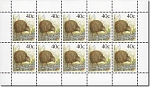 1988 Native
Bird Definitives