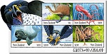 2009 Giants of New
Zealand