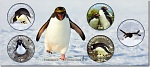 2014 Ross Dependency - The Penguins of Antarctica