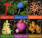 2002 Native Fungi