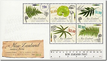 2013 New Zealand Native Ferns